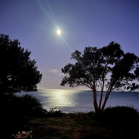 Beachfront Bliss - Your Parapara Seaside Retreat Εξωτερικό φωτογραφία