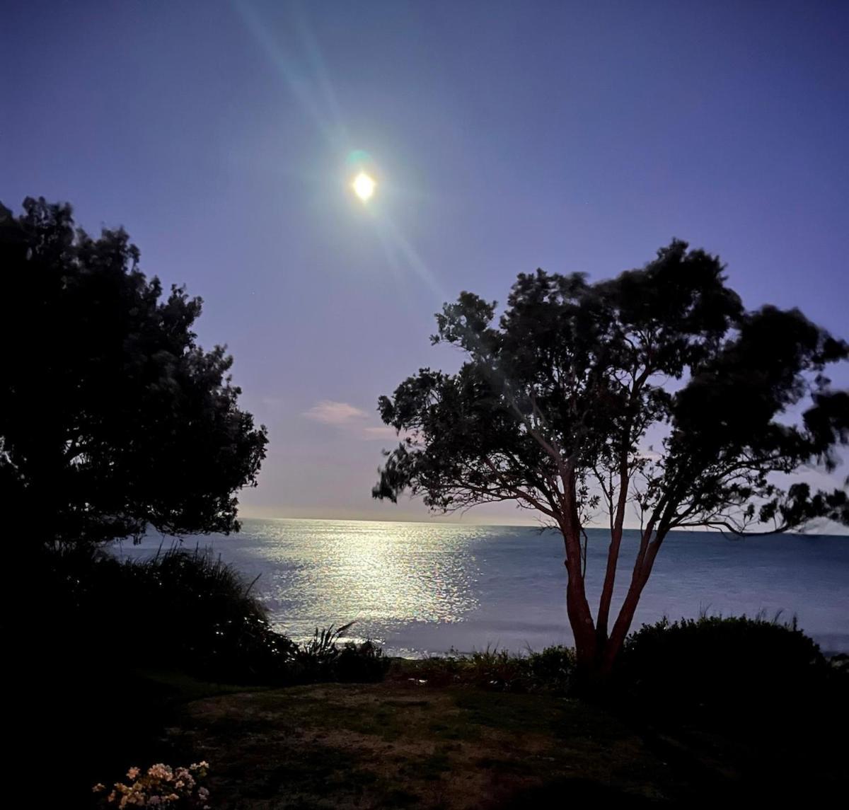 Beachfront Bliss - Your Parapara Seaside Retreat Εξωτερικό φωτογραφία