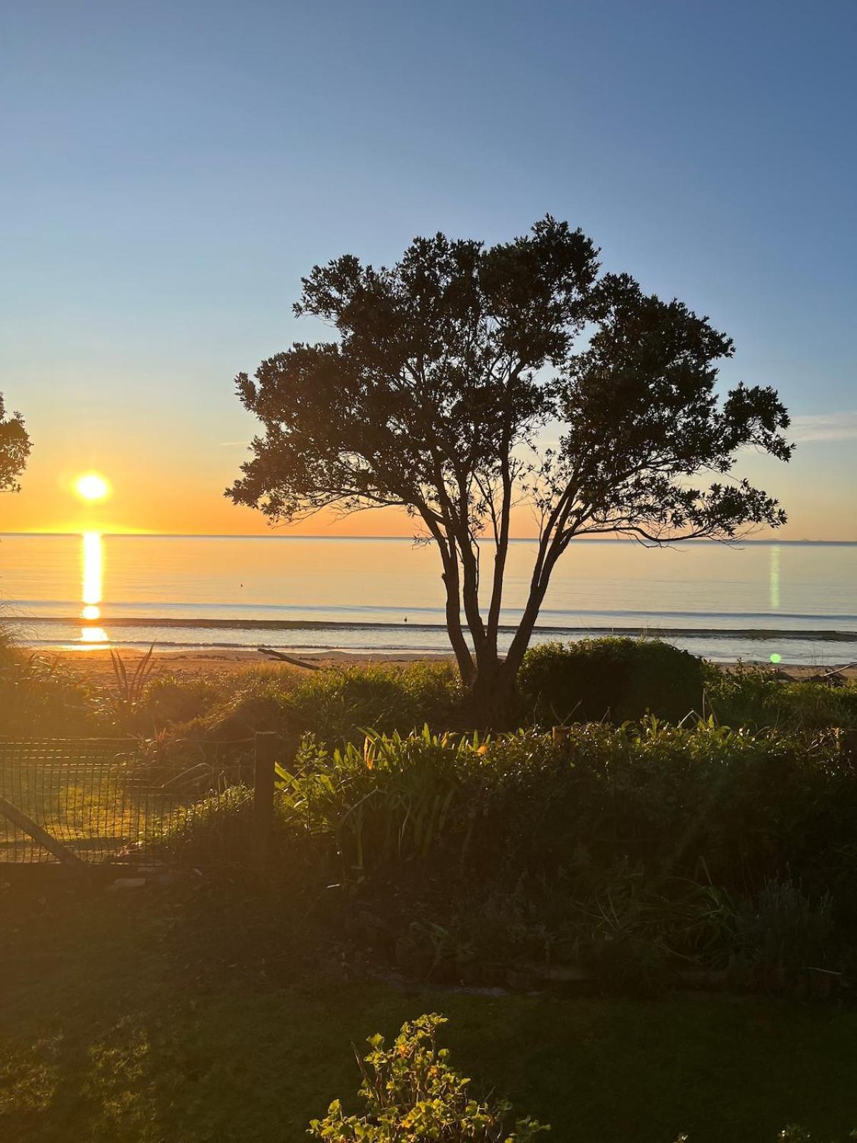 Beachfront Bliss - Your Parapara Seaside Retreat Εξωτερικό φωτογραφία
